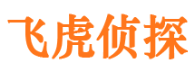 黔江市调查公司